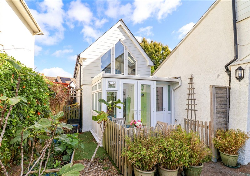 This is the setting of Cherry Pip at Cherry Pip, Charmouth