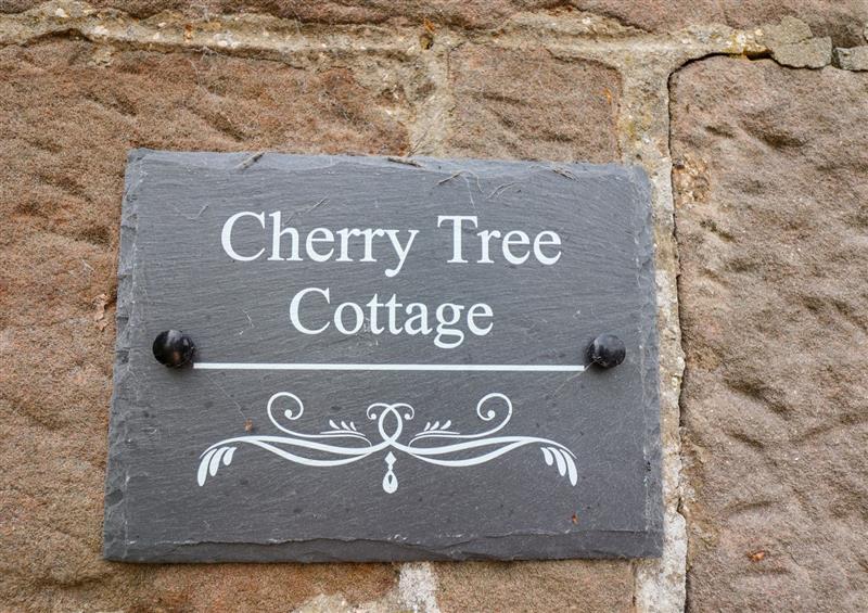 Enjoy the garden at Cherry Tree Cottage, Fallodon near Embleton