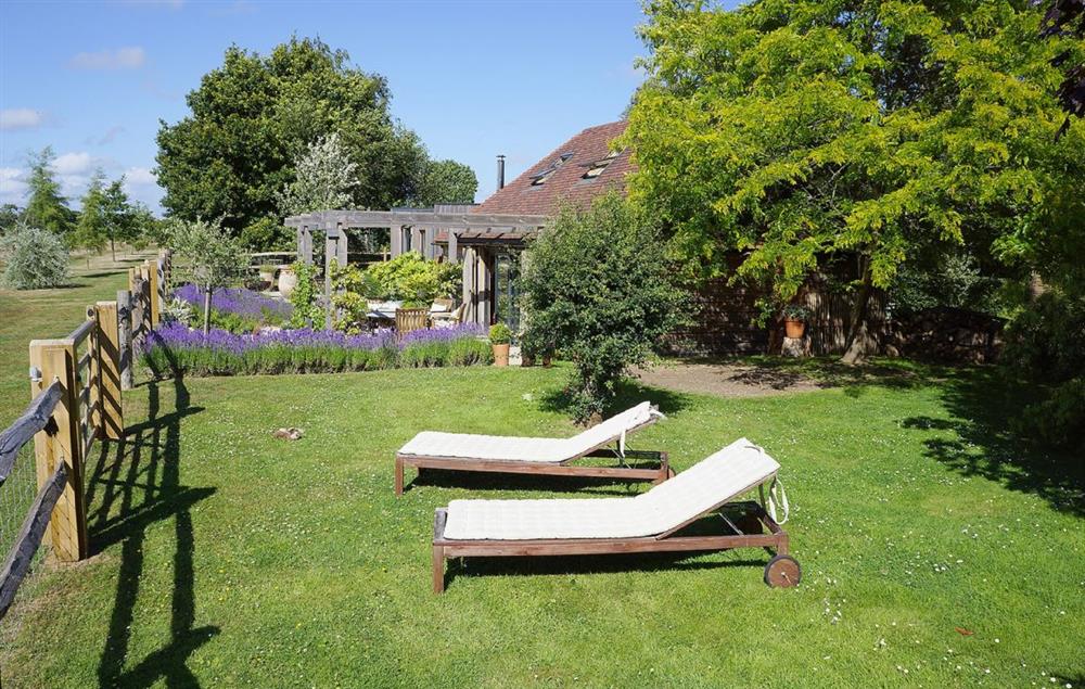Enclosed garden with garden furniture and barbecue at Cherrystone Barn, Ripe