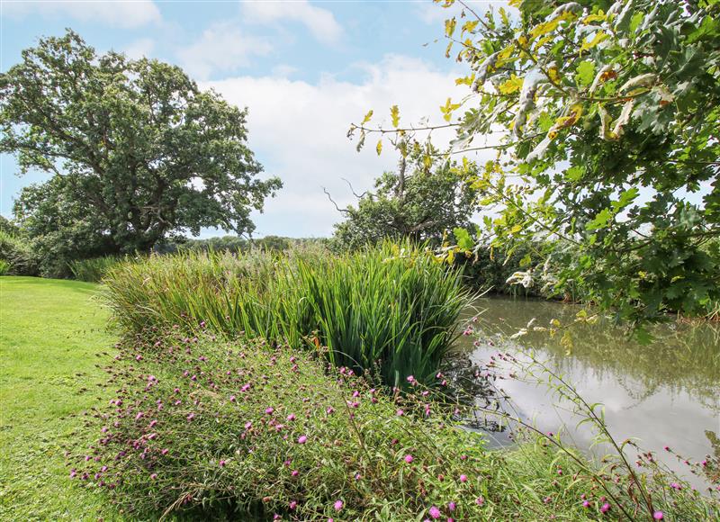 Rural landscape