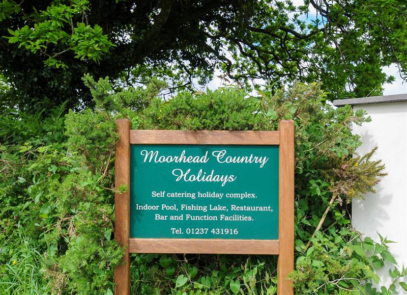 The area around Chestnut at Moorhead Country Holidays