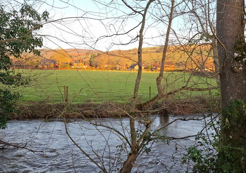 The setting of Chestnut Lodge