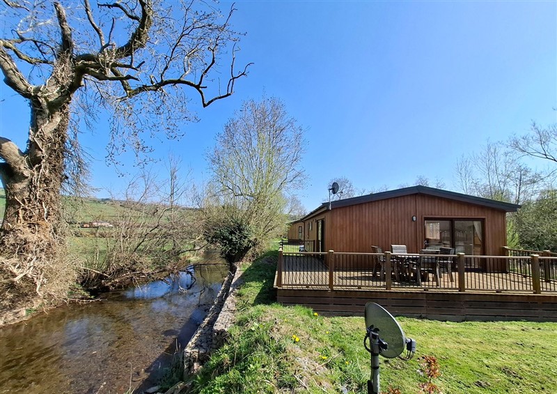 The setting of Chestnut Lodge