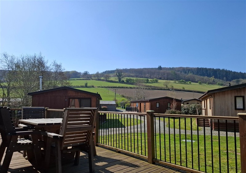 This is the setting of Chestnut Lodge