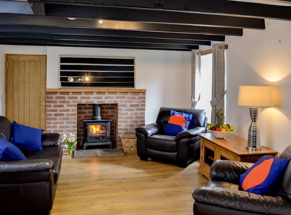 Comfortable second living room with wood burner at Chestnut Lodge in Portpatrick, Wigtownshire