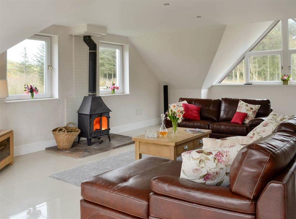 Wonderful living room with wood burner at Chestnut Lodge in Portpatrick, Wigtownshire