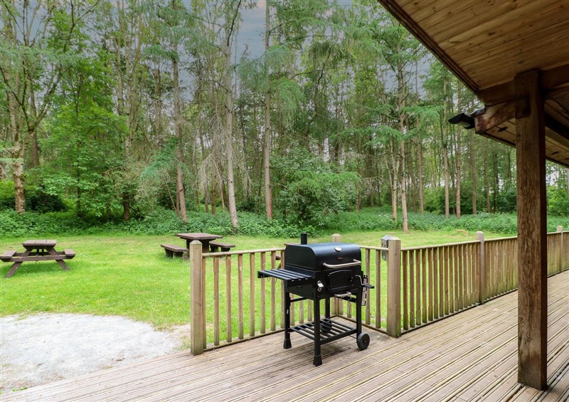 Enjoy the garden at Chestnut Lodge, Rosliston