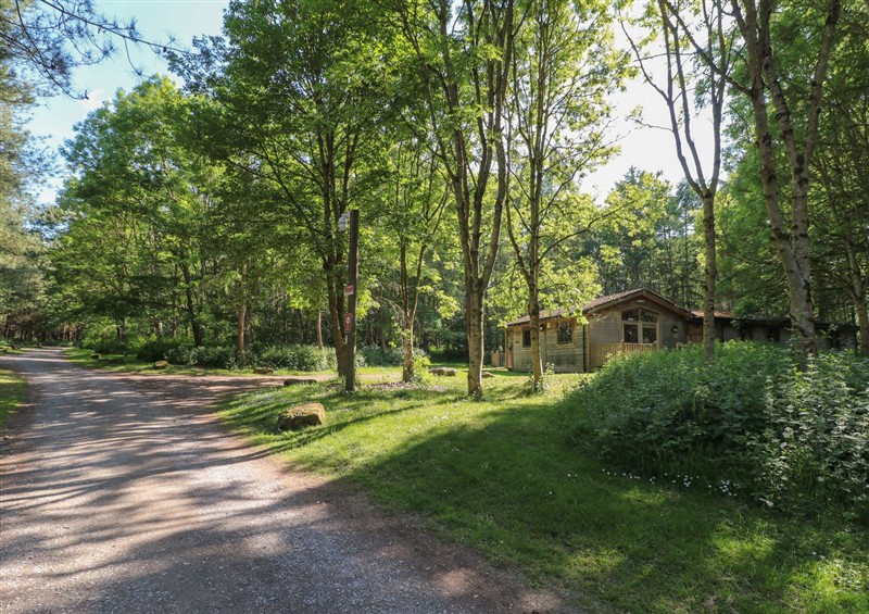 The garden at Chestnut Lodge, Rosliston