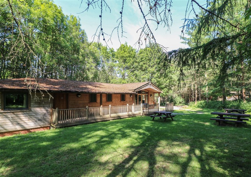 The setting (photo 3) at Chestnut Lodge, Rosliston