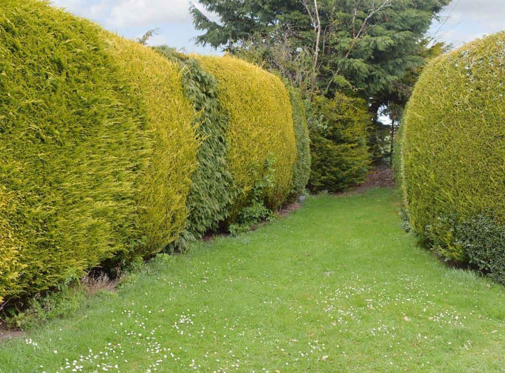Garden (photo 2) at Cheviot View in Berwick-upon-Tweed, Northumberland