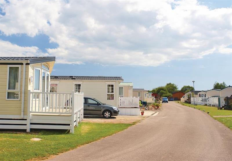 The park setting (photo number 2) at Chichester Lakeside Holiday Park in Chichester, Sussex