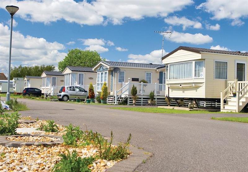 The park setting at Chichester Lakeside Holiday Park in Chichester, Sussex
