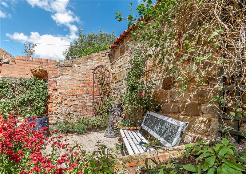 This is the garden at Chimes Cottage, Guisborough