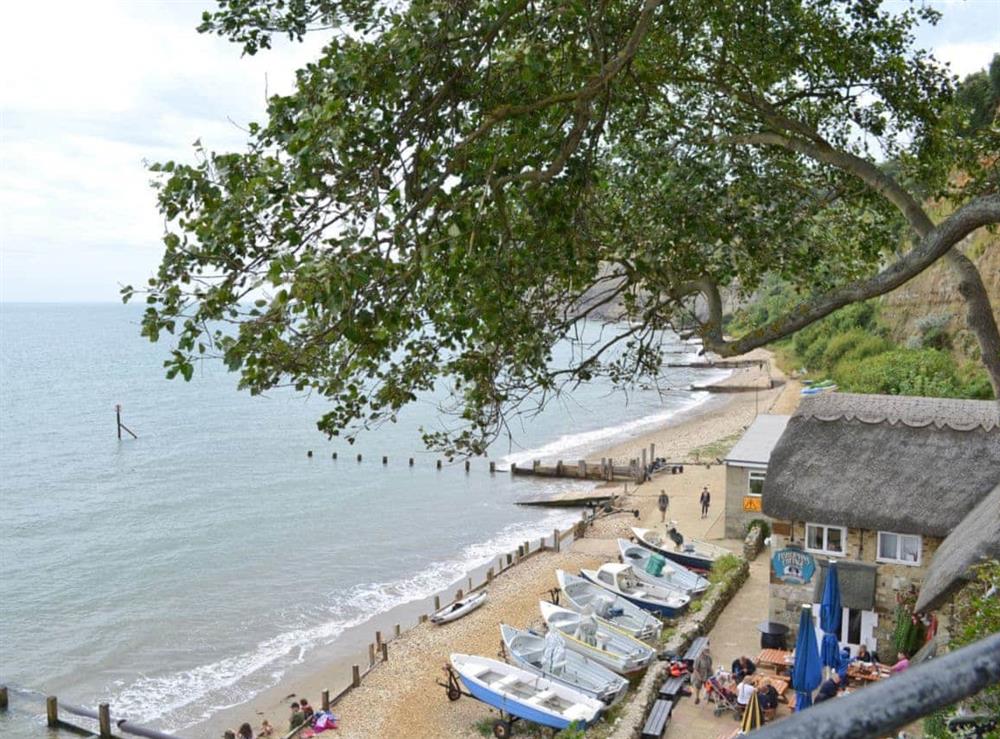 View (photo 3) at Chine Bluff in Shanklin, Isle of Wight