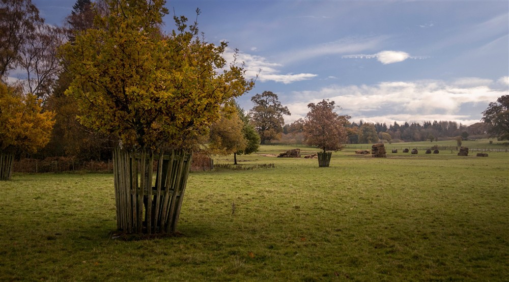 The Chirk Castle estate, Clwyd at Chirk Home Farm Cottage in Chirk, Wrexham