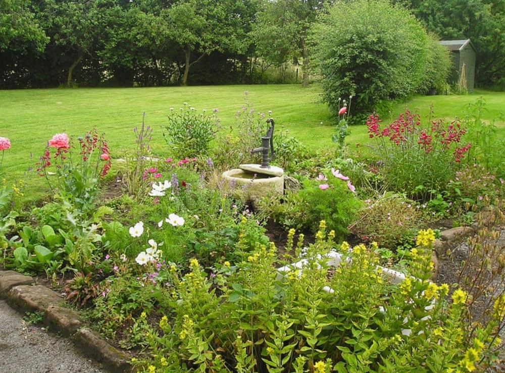 Garden (photo 2) at Chorlton Moss Cottage in Baldwins Gate, near Newcastle-under-Lyme, Staffordshire