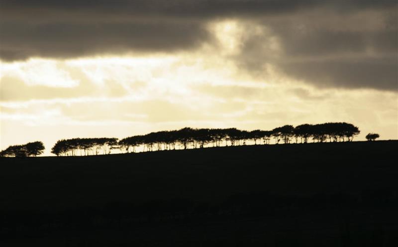 The setting around Church Farm