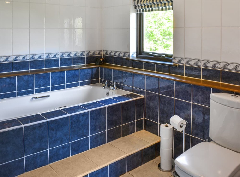 Bathroom at Church View Apartment in Parkham, near Bideford, Devon