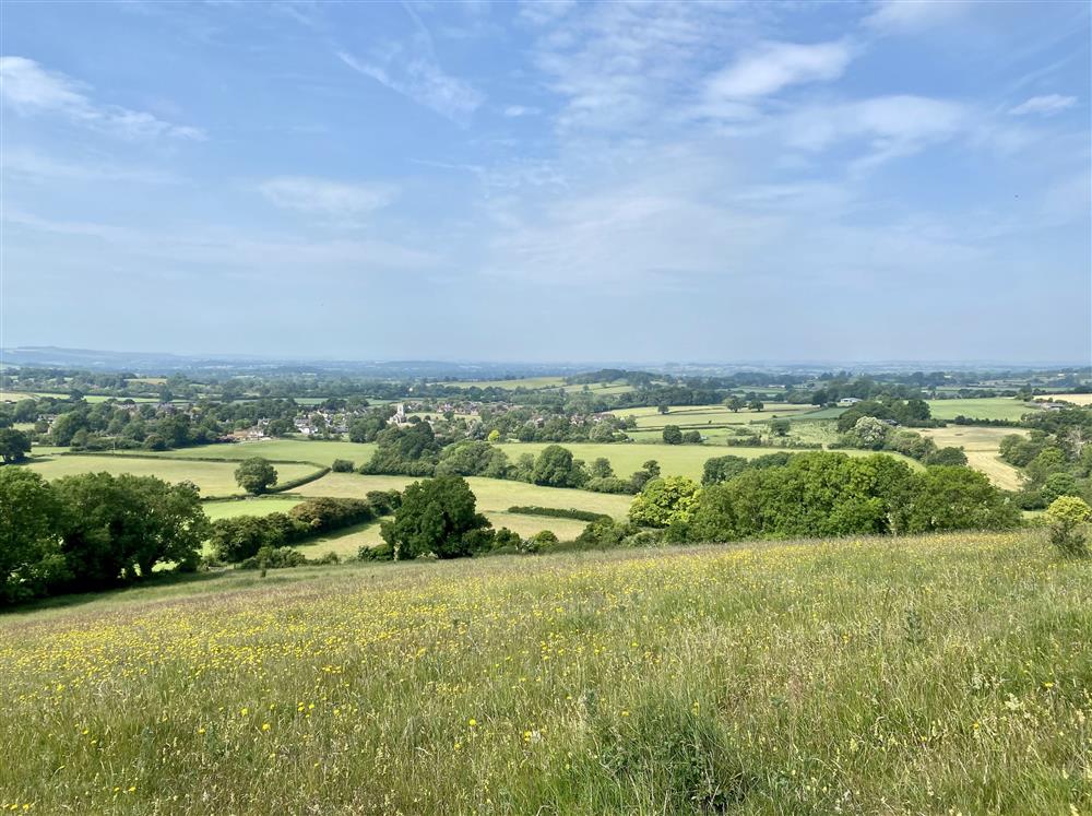 The glorious Devon countryside