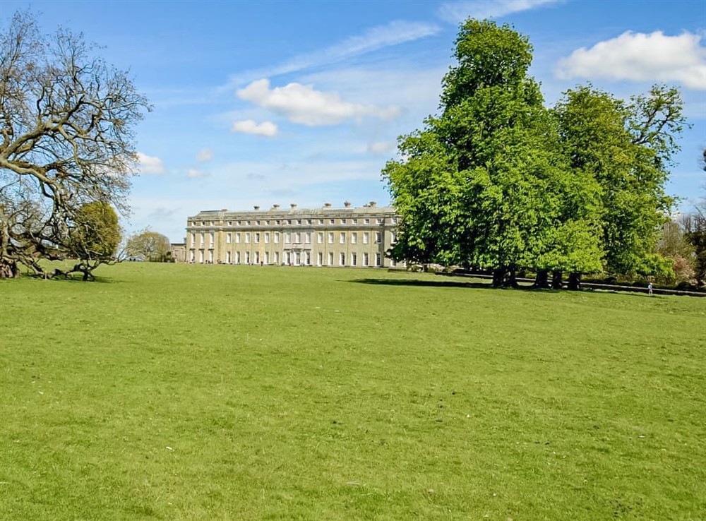 Garden and grounds at Churchfield Stables in West Chiltington, West Sussex