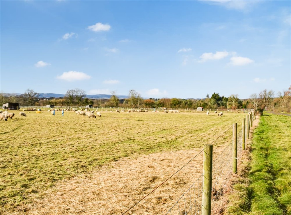 Outdoor area at Churchfield Stables in West Chiltington, West Sussex