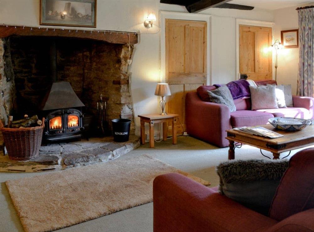 Living room with wood burner at Churchtown Farm Cottage in West Anstey, Devon