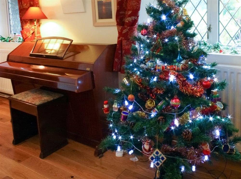 A decorated tree throughout the festive season at Churchview House in Winterbourne Abbas, near Dorchester, Dorset