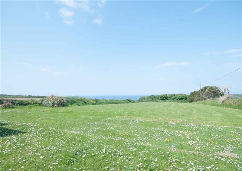 The garden at Chynoweth, Crantock