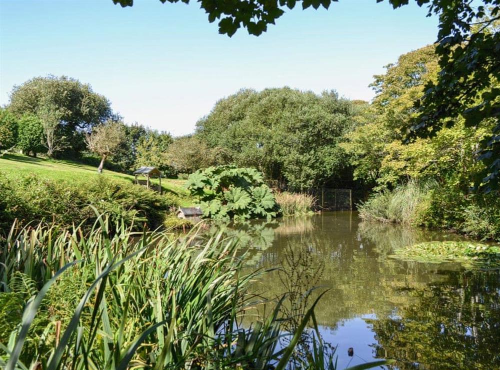 Unfenced pond in the grounds at Chywood Barn in Breage, near Helston, Cornwall