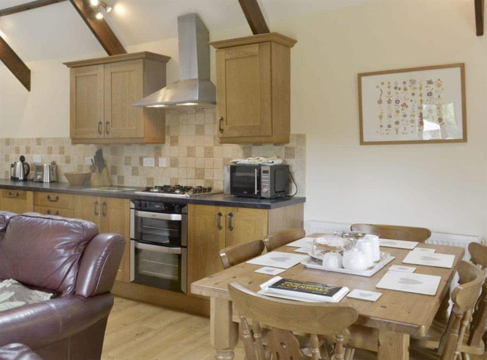 Convenient open plan design at Cider Barn in Poundstock, Bude, Cornwall