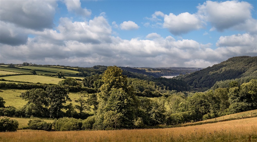 The countryside surrounding the Buckland Abbey estate and Cider Cottage, Devon at Cider Cottage in Yelverton, Devon