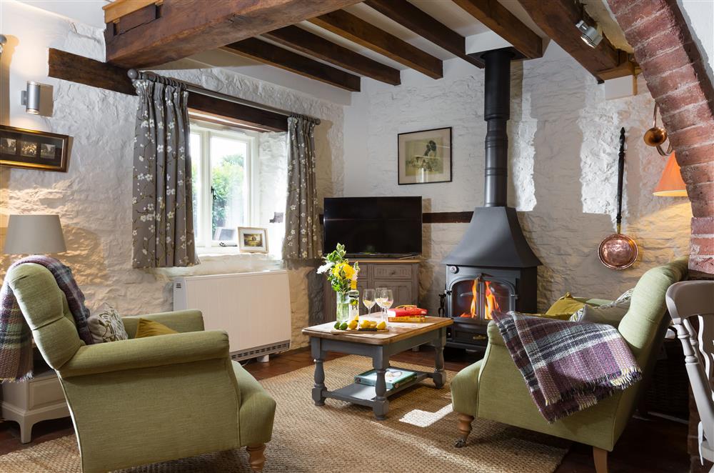 The sitting area with sumptuous seating and a wood burning stove at Cider Mill Cottage, Clifton upon Teme