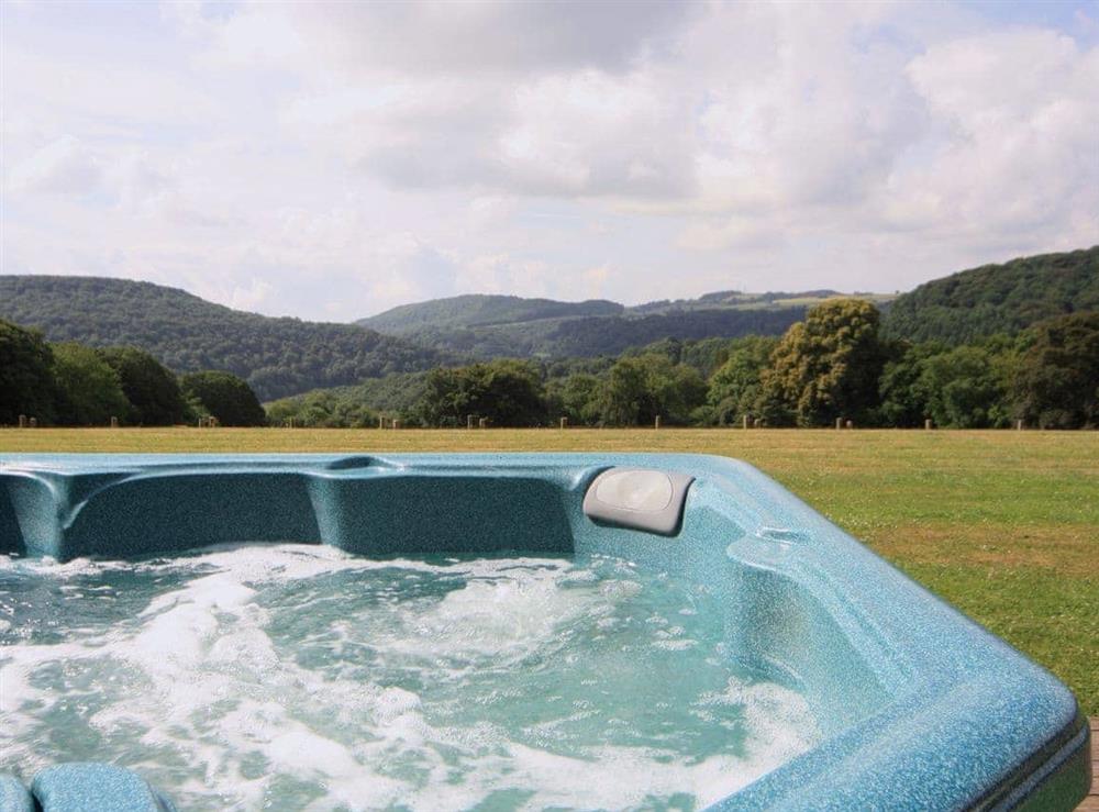 Jacuzzi at Cider Mill Lodge in Chepstow, Gwent