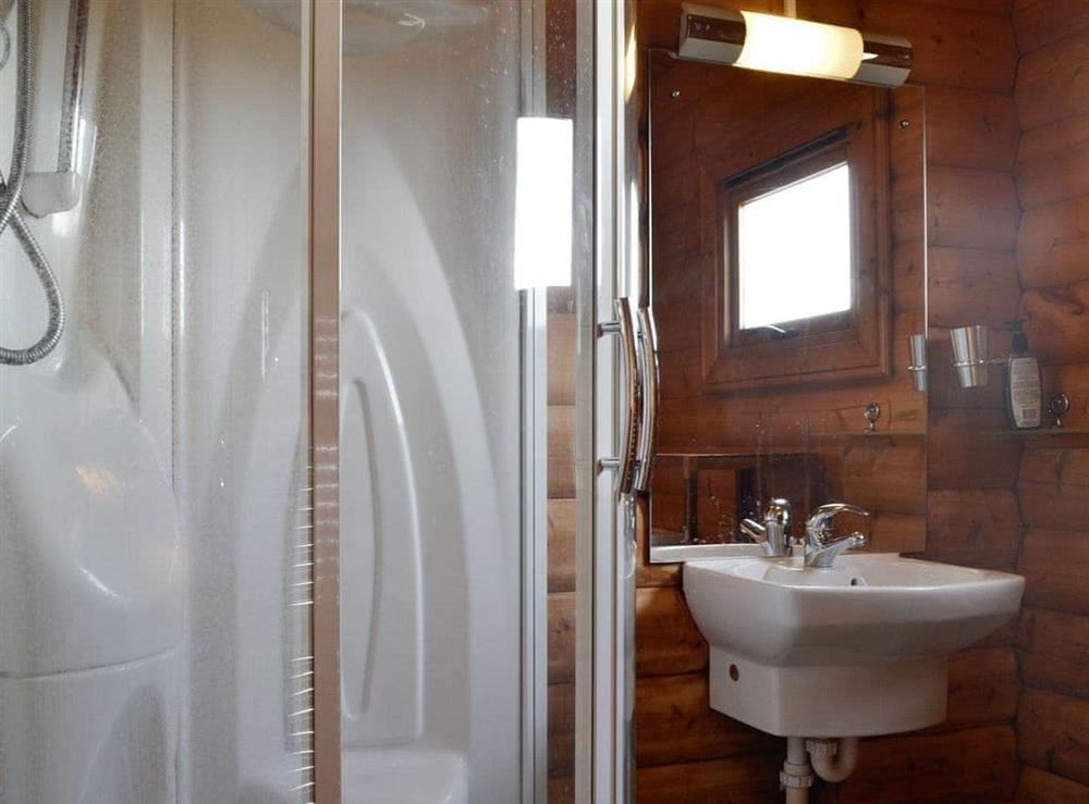 Shower room at Cider Mill Lodge in Chepstow, Gwent
