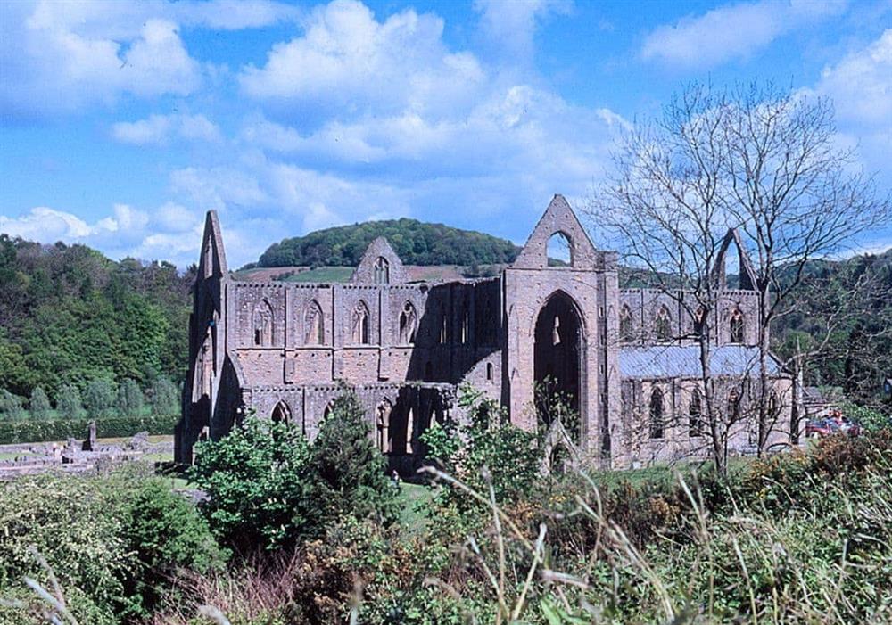 Tintern Abbey at Cider Mill Lodge in Chepstow, Gwent