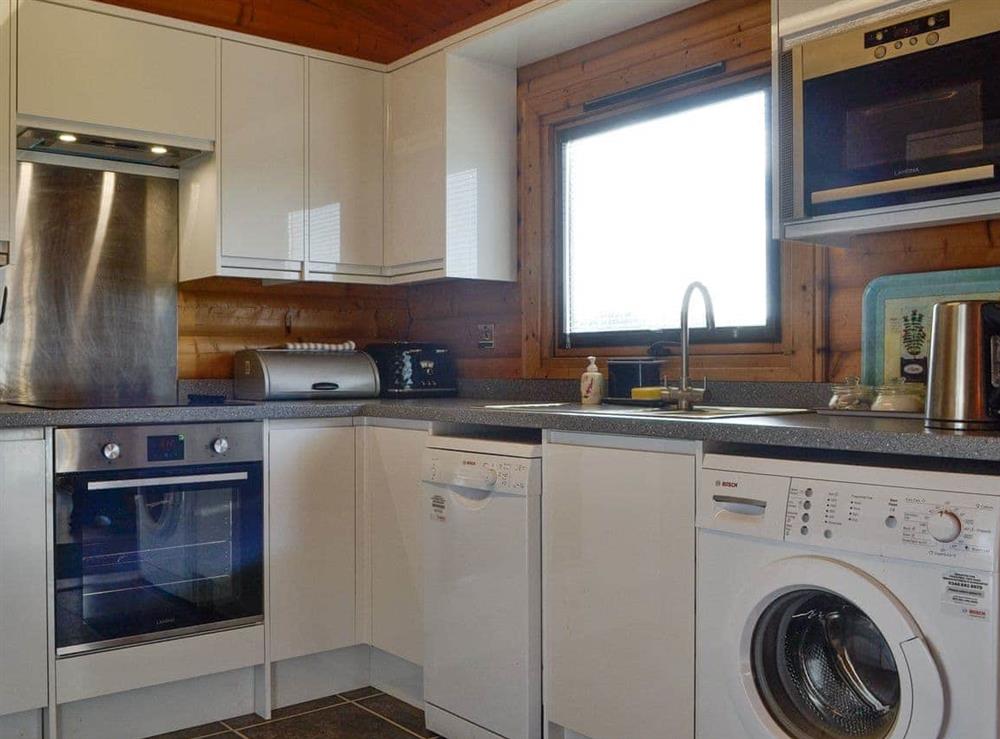 Well-equipped fitted kitchen at Cider Mill Lodge in Chepstow, Gwent