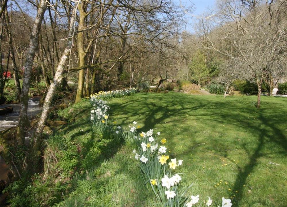 Garden bordered by River Par at Cider Press in St Austell
