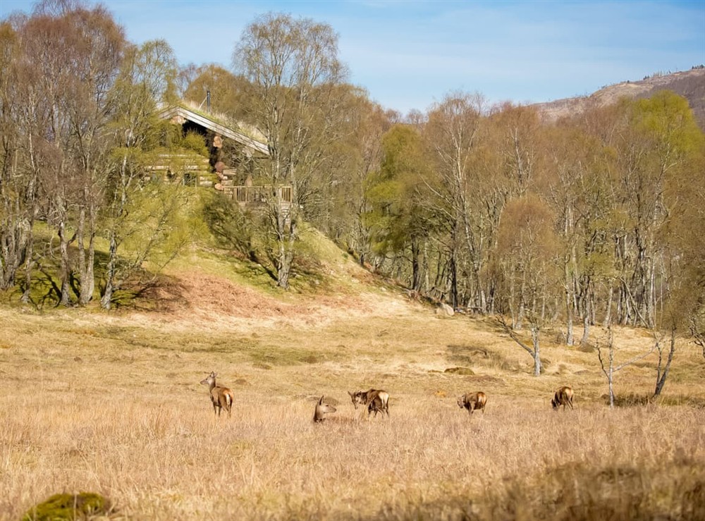 Surrounding area at Cinclus in Beauly, near Drumnadrochit, Inverness-Shire