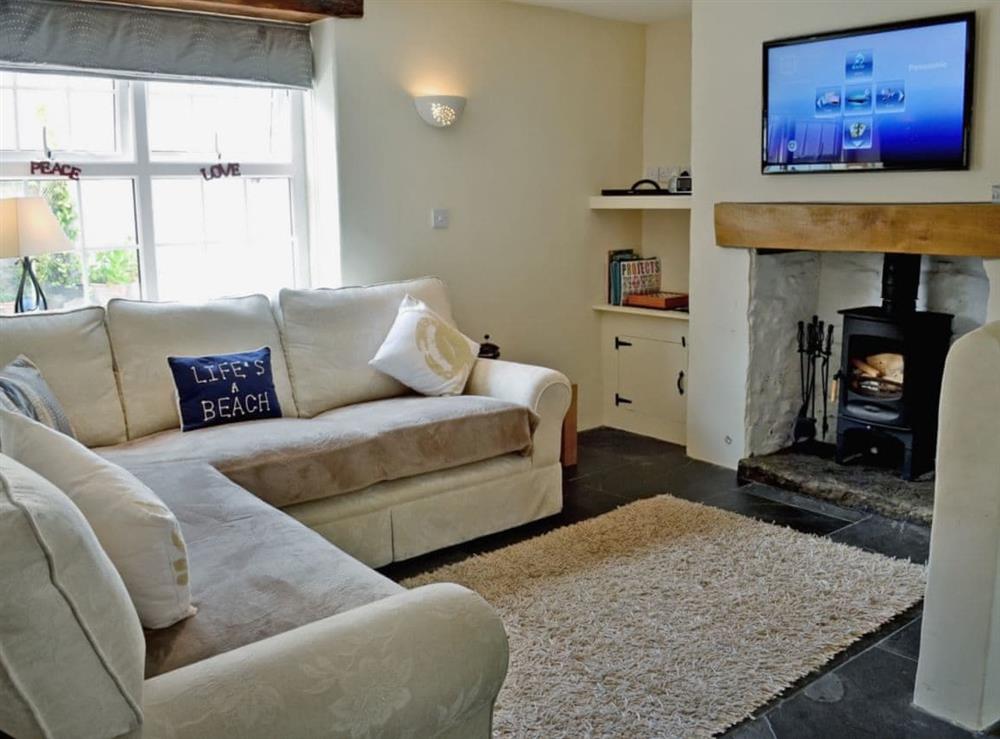 Living room at Cinnamon Teal in Bideford, Devon