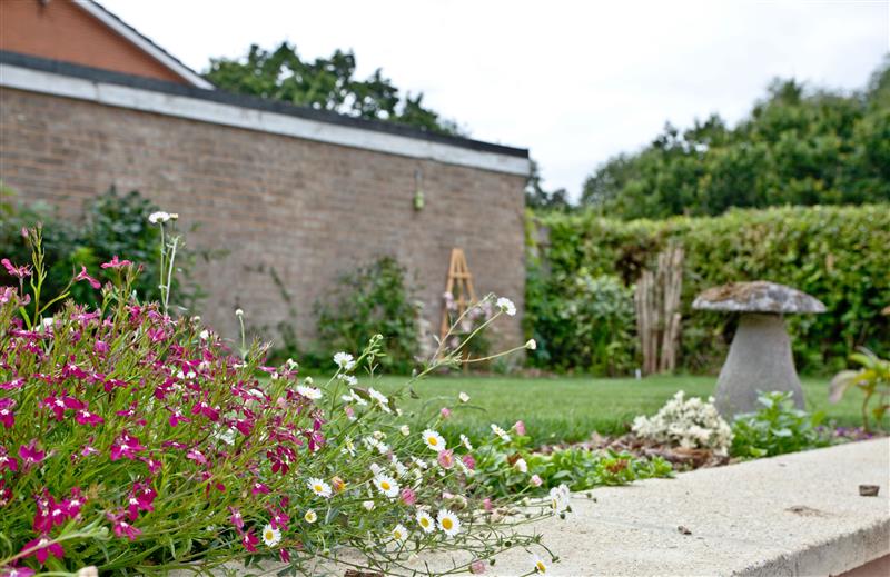 Enjoy the garden at City Reach, Devon