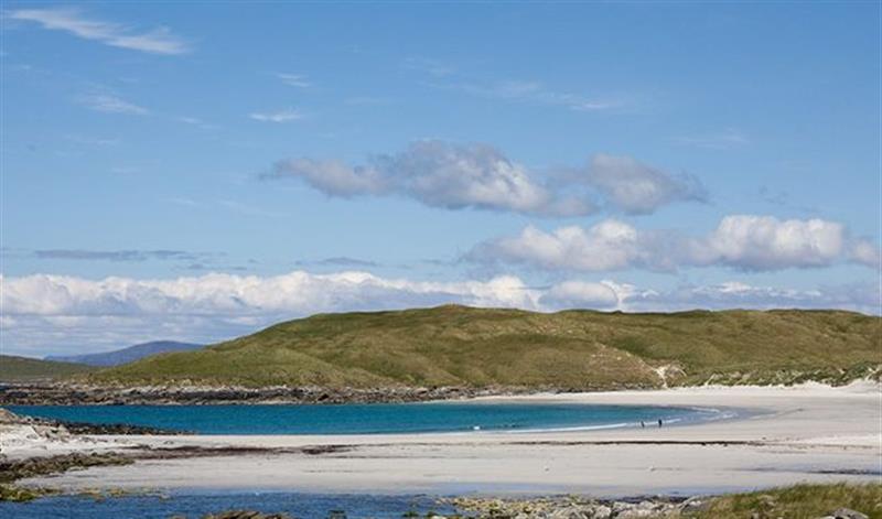 The setting around Clachan Sands Cottage