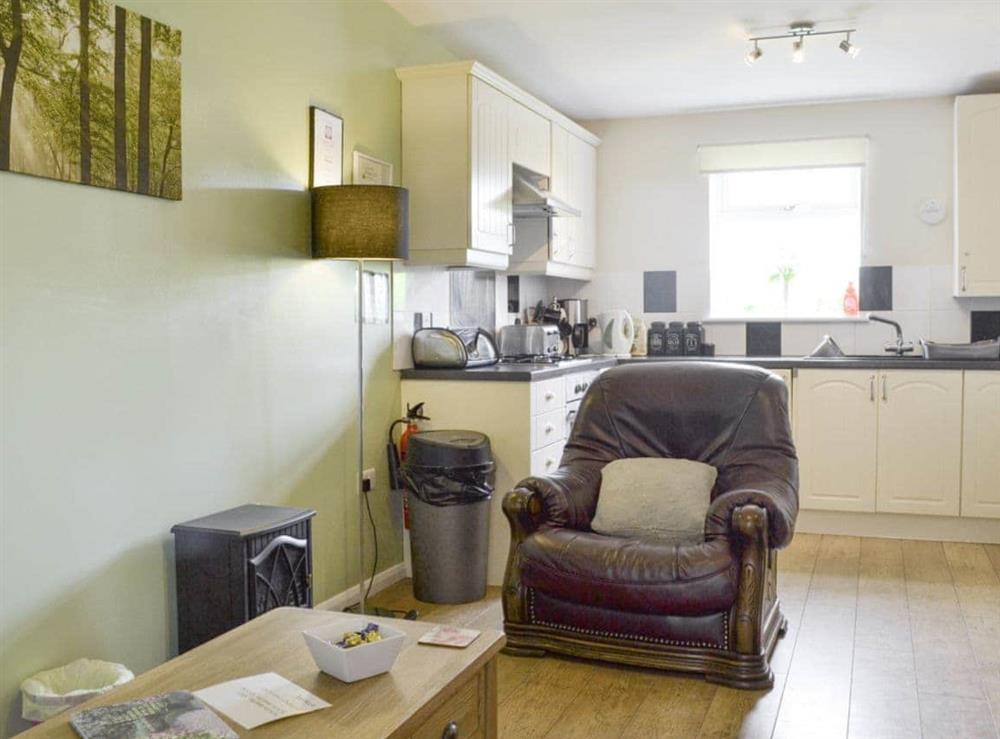 Spacious open-plan design with well-equipped kitchen at Snowdrop Cottage, 