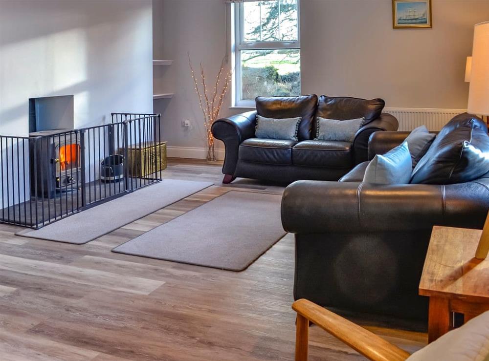 Living area at Clarksburn Blue in Newton Stewart, Dumfries and Galloway, Wigtownshire