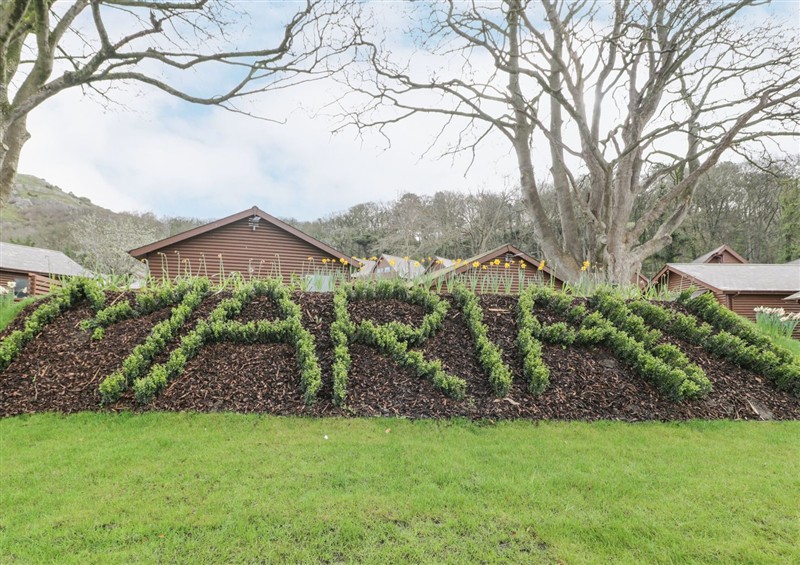 The garden at Classic Lodge 26, Dyserth