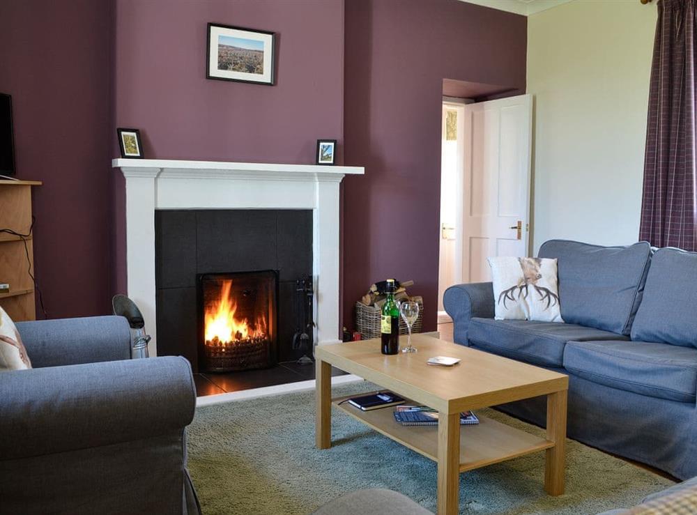 Cosy living room at Clayhills Cottage in Blairgowrie, Perthshire
