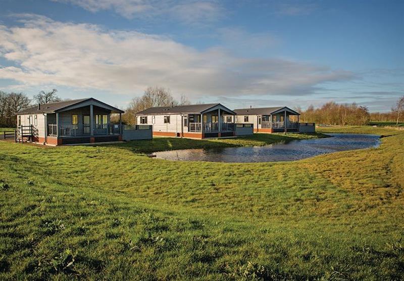 The park setting (photo number 1) at Claywood Retreat Lodges in Darsham, Near Southwold