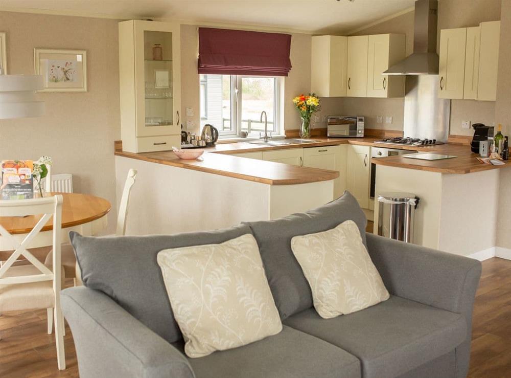 Open plan living space at Silverbirch, 