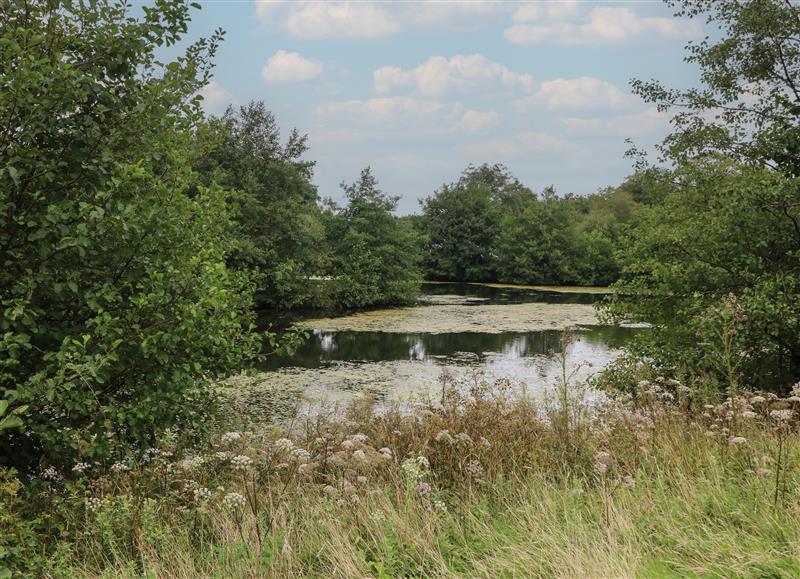 Rural landscape