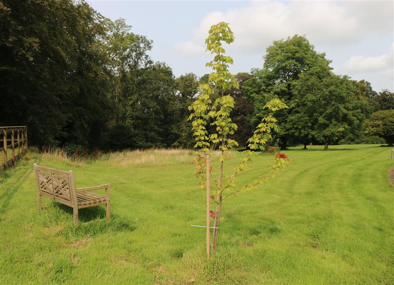 The setting around Clearbrook Lodge