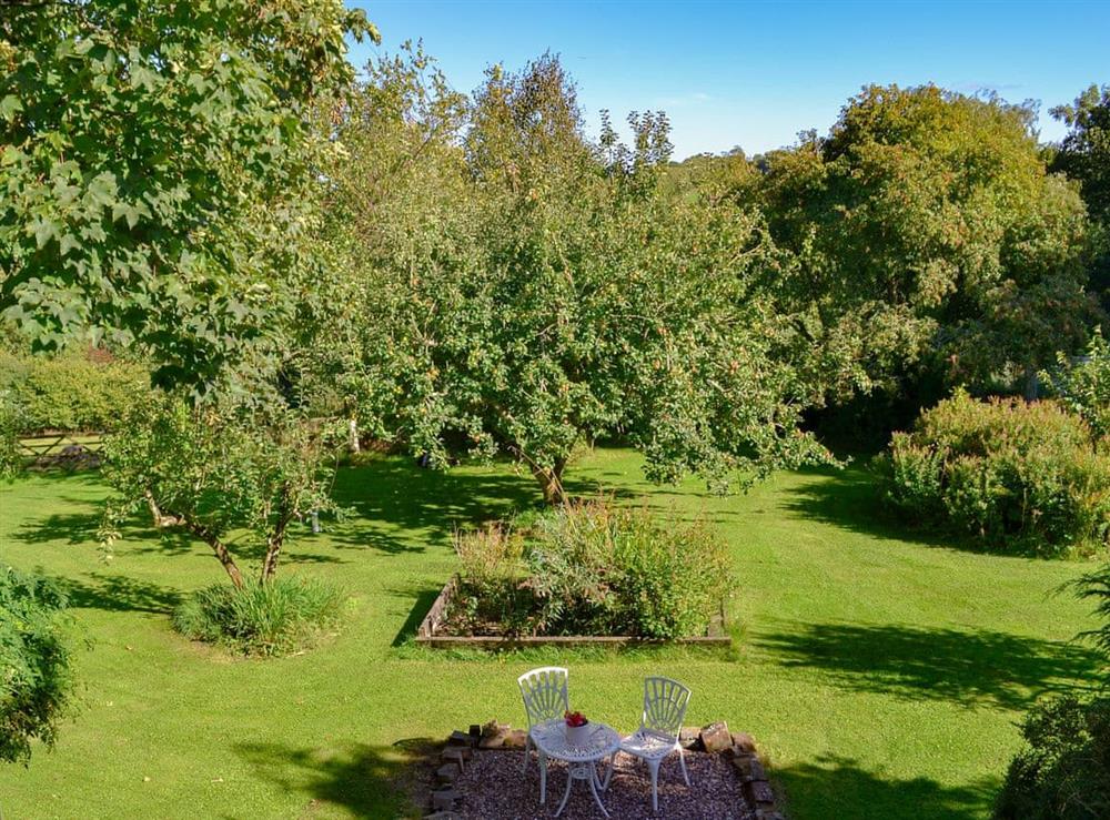 Beautiful large garden and grounds at Clematis Cottage in Derriton, near Holsworthy, Devon